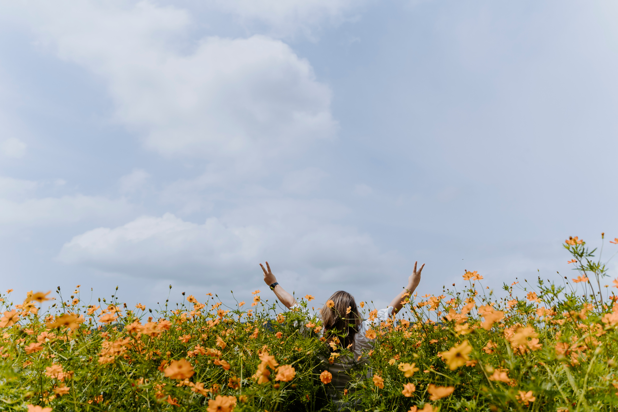 Woman Doing Peace Hand Gesture in the Flower Field